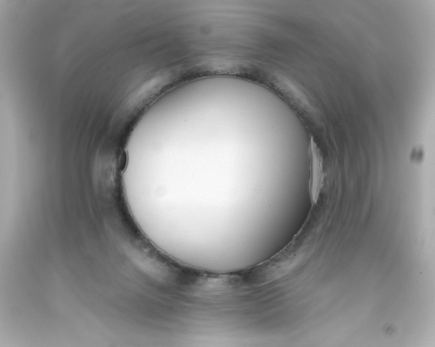 X0000093380072200711011258