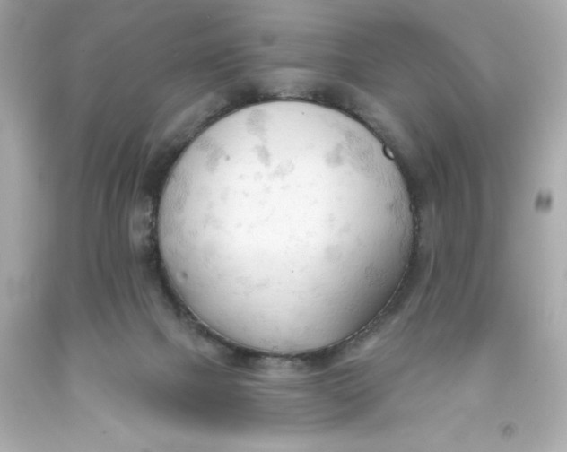 X0000093380073200711011258