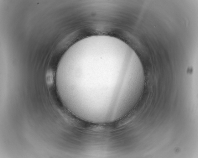 X0000093380075200711011258