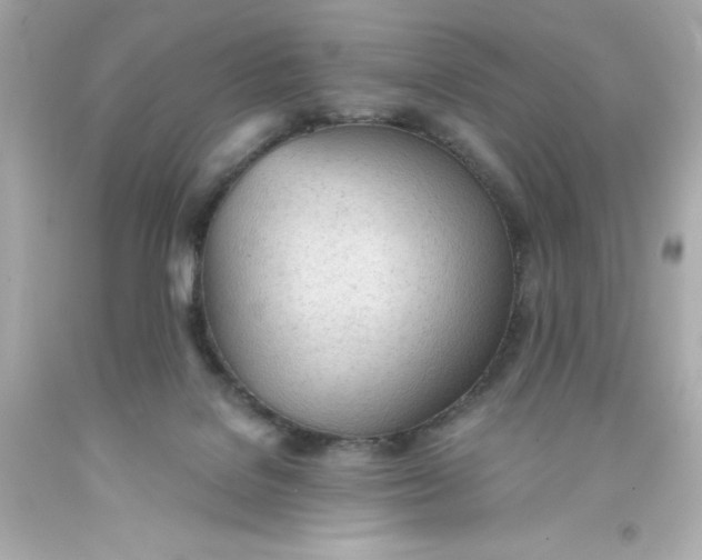 X0000093380076200711011258