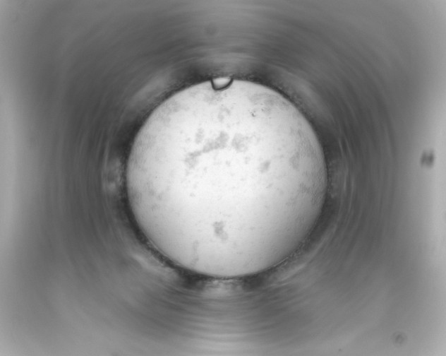 X0000093380077200711011258