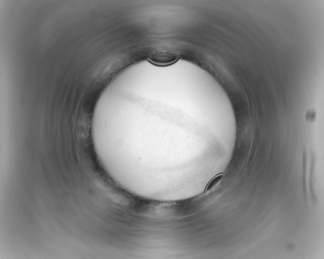 X0000093380078200711011258