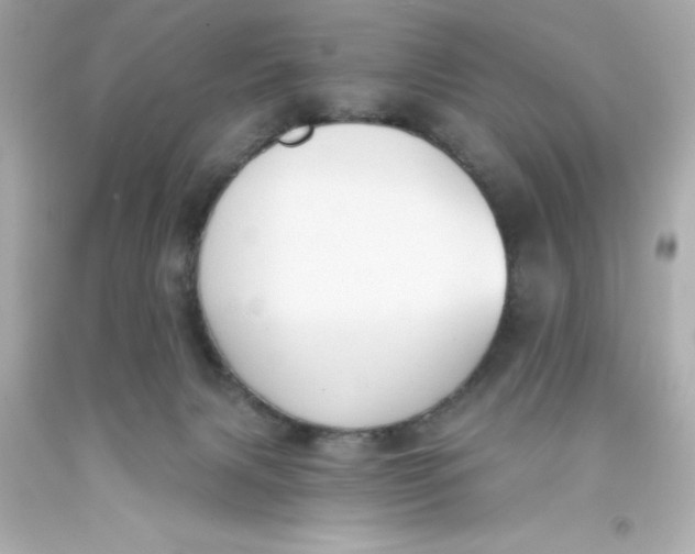 X0000093380079200711011258