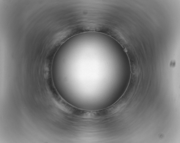 X0000093380080200711011258