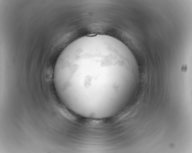 X0000093380081200711011258