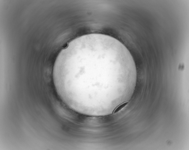 X0000093380082200711011258