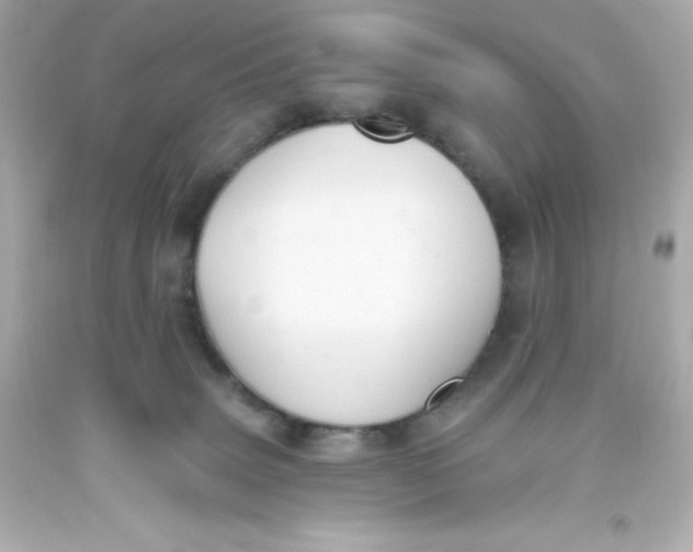 X0000093380083200711011258