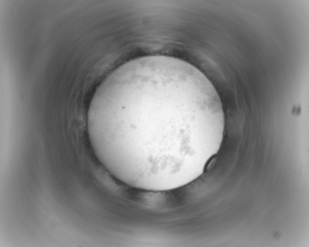 X0000093380085200711011258