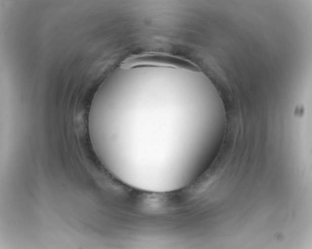 X0000093380088200711011258