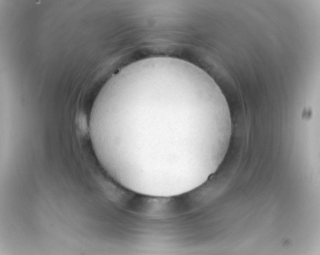 X0000093380089200711011258