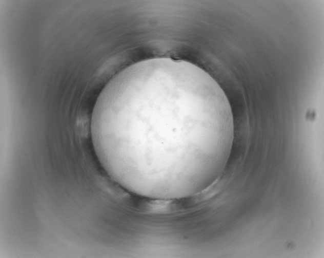 X0000093380090200711011258