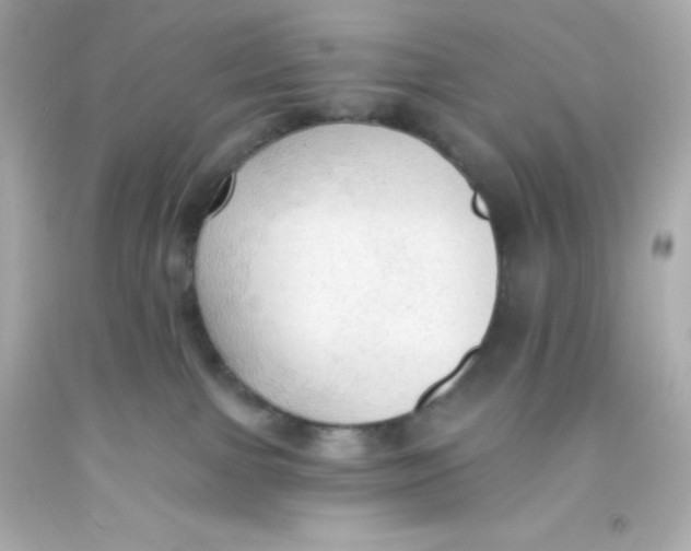 X0000093380091200711011258