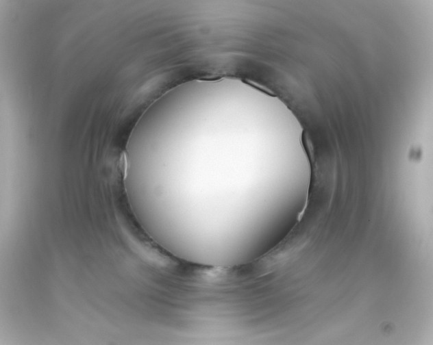 X0000093380092200711011258