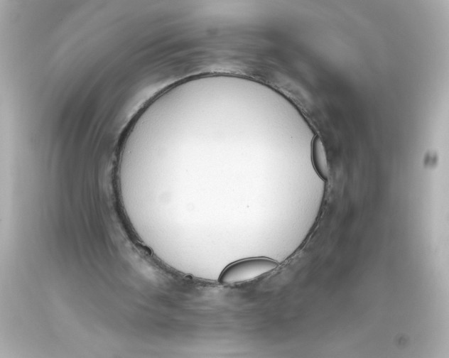 X0000093380098200711011258