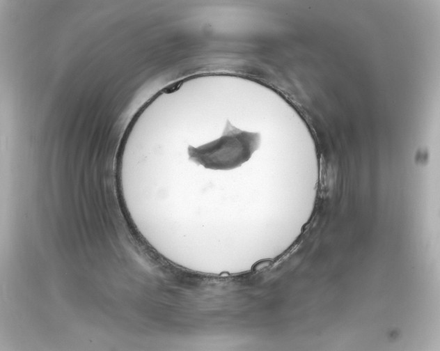 X0000093380099200711011258