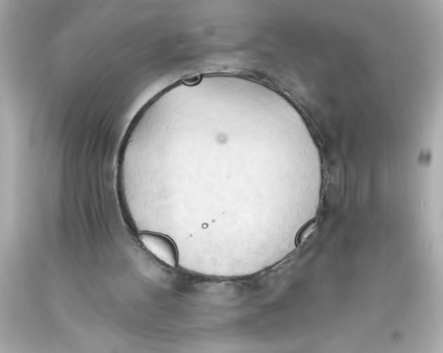 X0000093380100200711011258