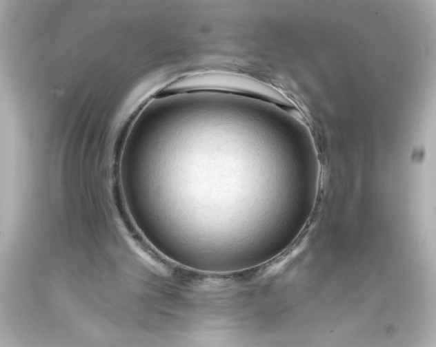 X0000093380101200711011258