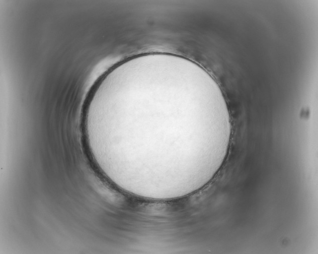 X0000093380104200711011258