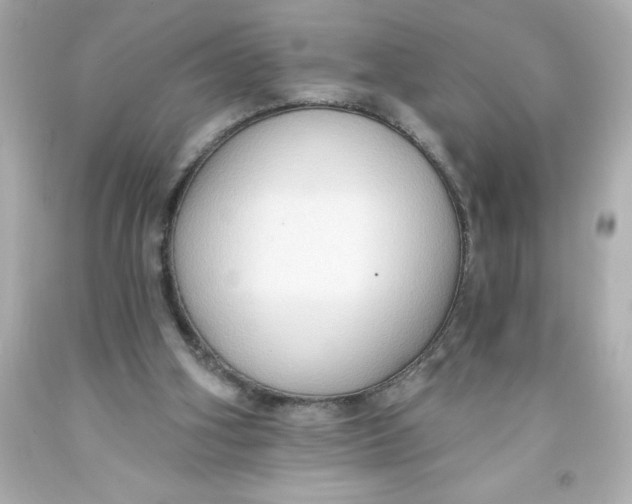 X0000093380106200711011258