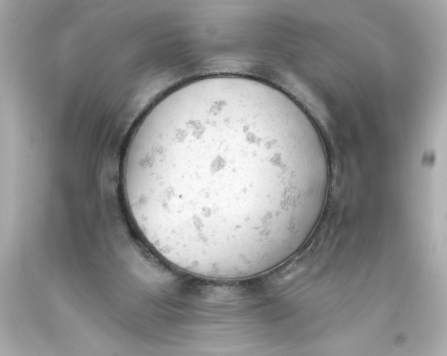 X0000093380107200711011258