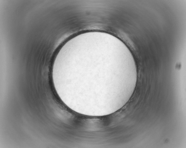 X0000093380108200711011258