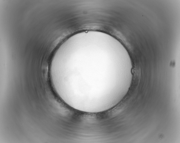 X0000093380110200711011258