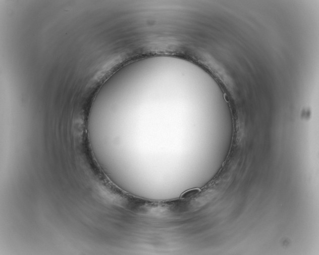 X0000093380113200711011258