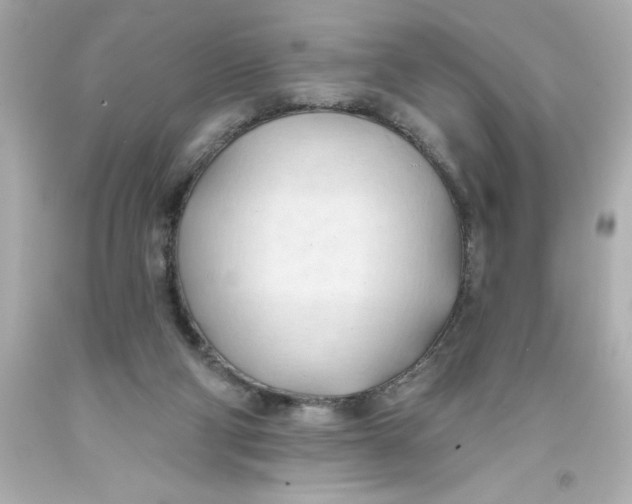 X0000093380114200711011258