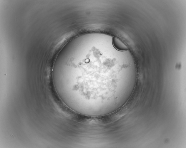 X0000093380115200711011258