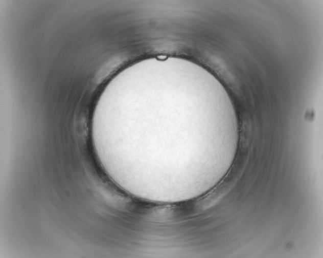 X0000093380116200711011258