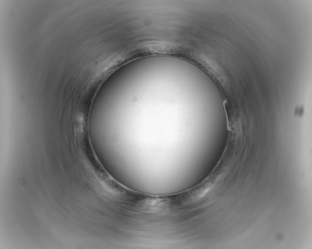 X0000093380117200711011258