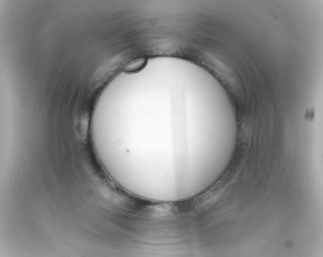 X0000093380118200711011258