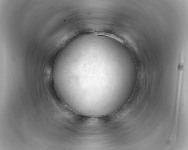 X0000093380123200711011258