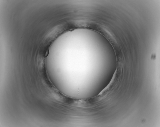 X0000093380125200711011258