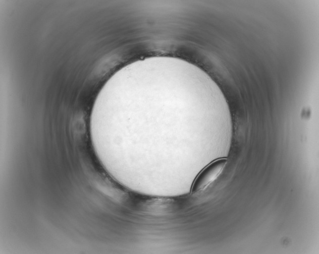 X0000093380128200711011258