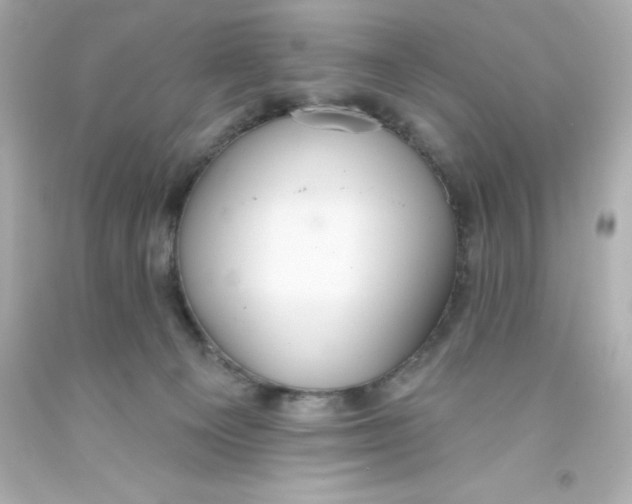 X0000093380129200711011258