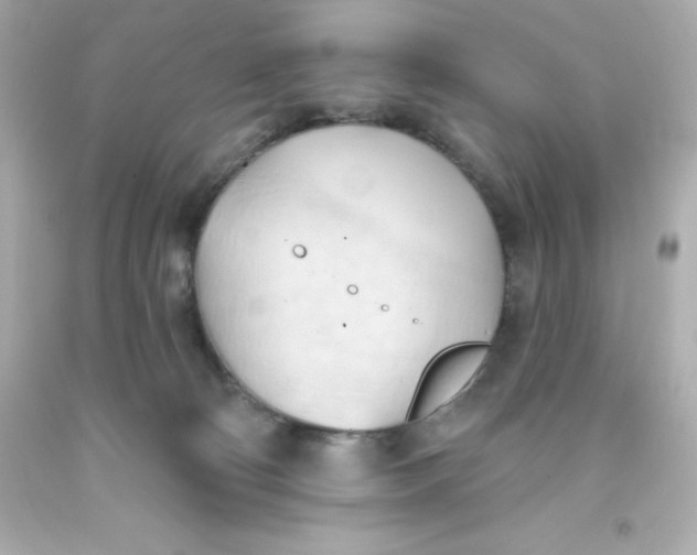 X0000093380130200711011257