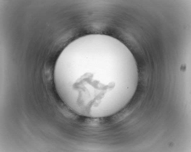 X0000093380131200711011257