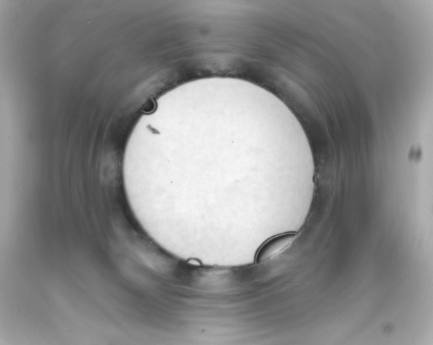 X0000093380132200711011257