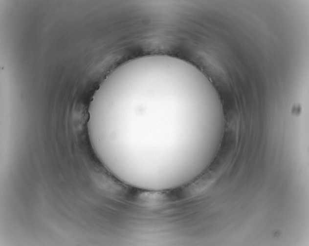 X0000093380133200711011257