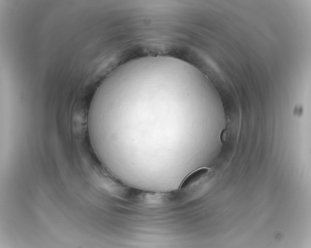 X0000093380134200711011257