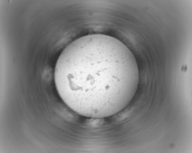 X0000093380135200711011257