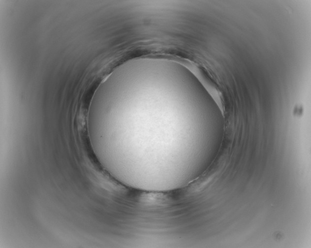 X0000093380137200711011257