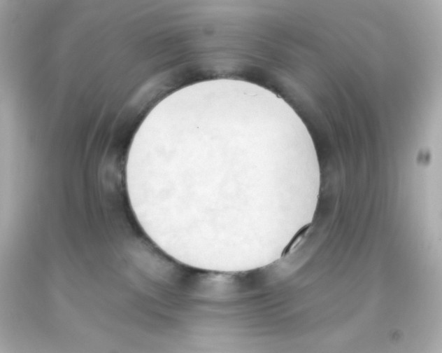 X0000093380140200711011257