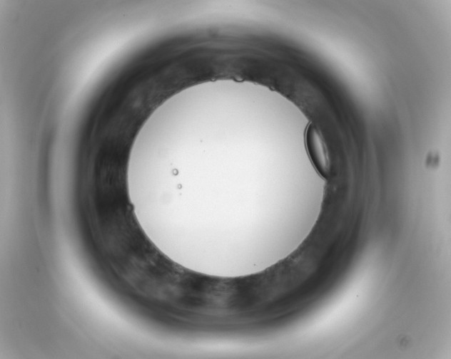 X0000093380143200711011257