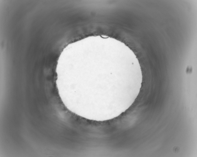 X0000093380144200711011257