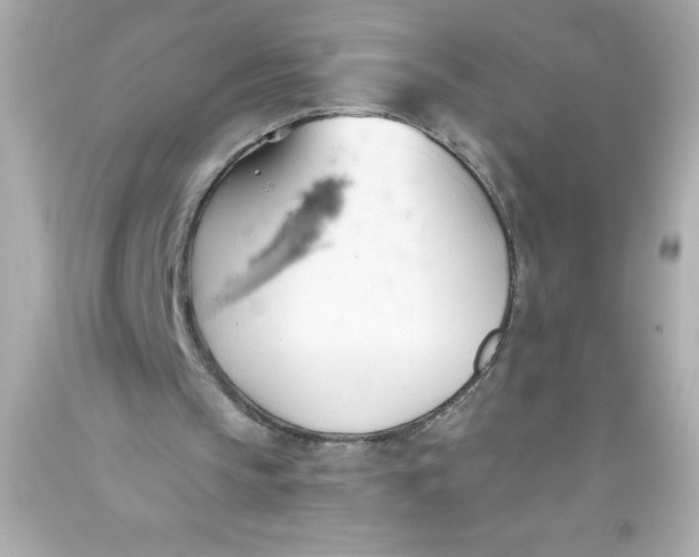 X0000093380145200711011257