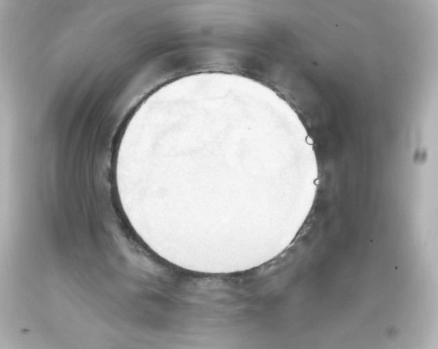 X0000093380146200711011257