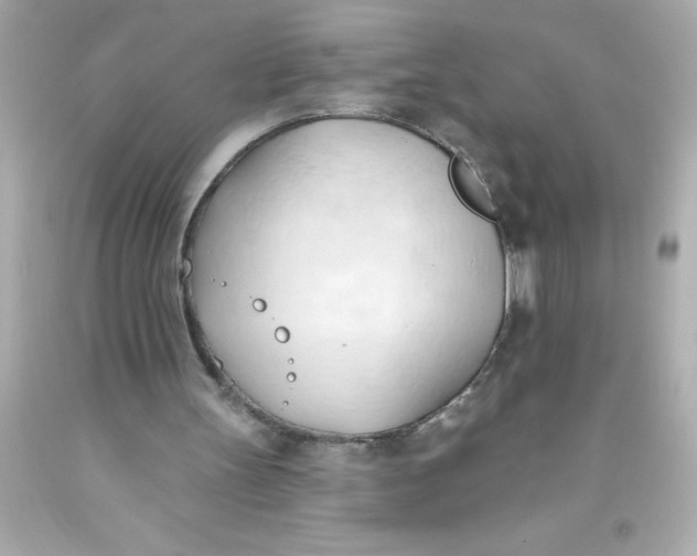 X0000093380147200711011257