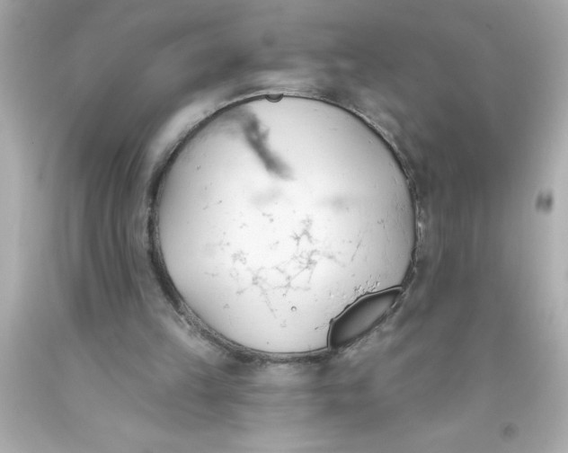 X0000093380149200711011257